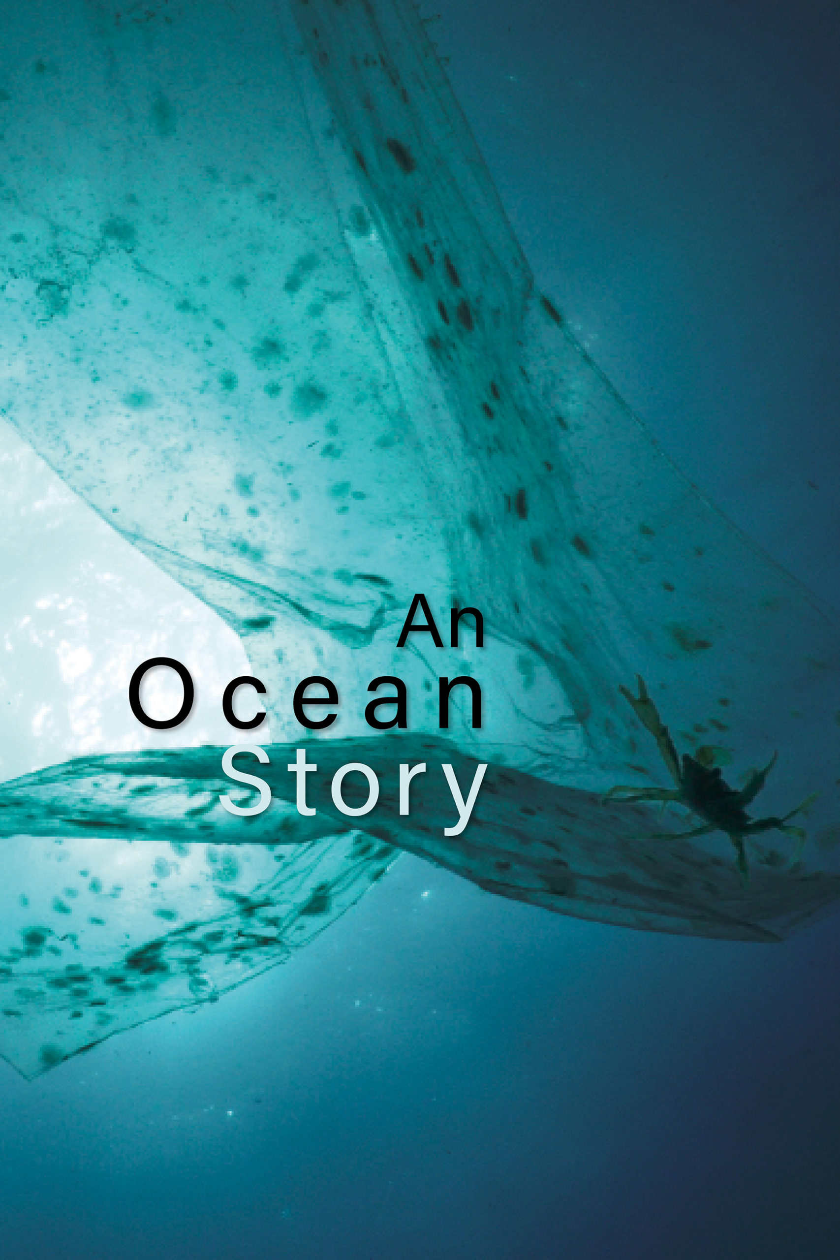 An ocean story