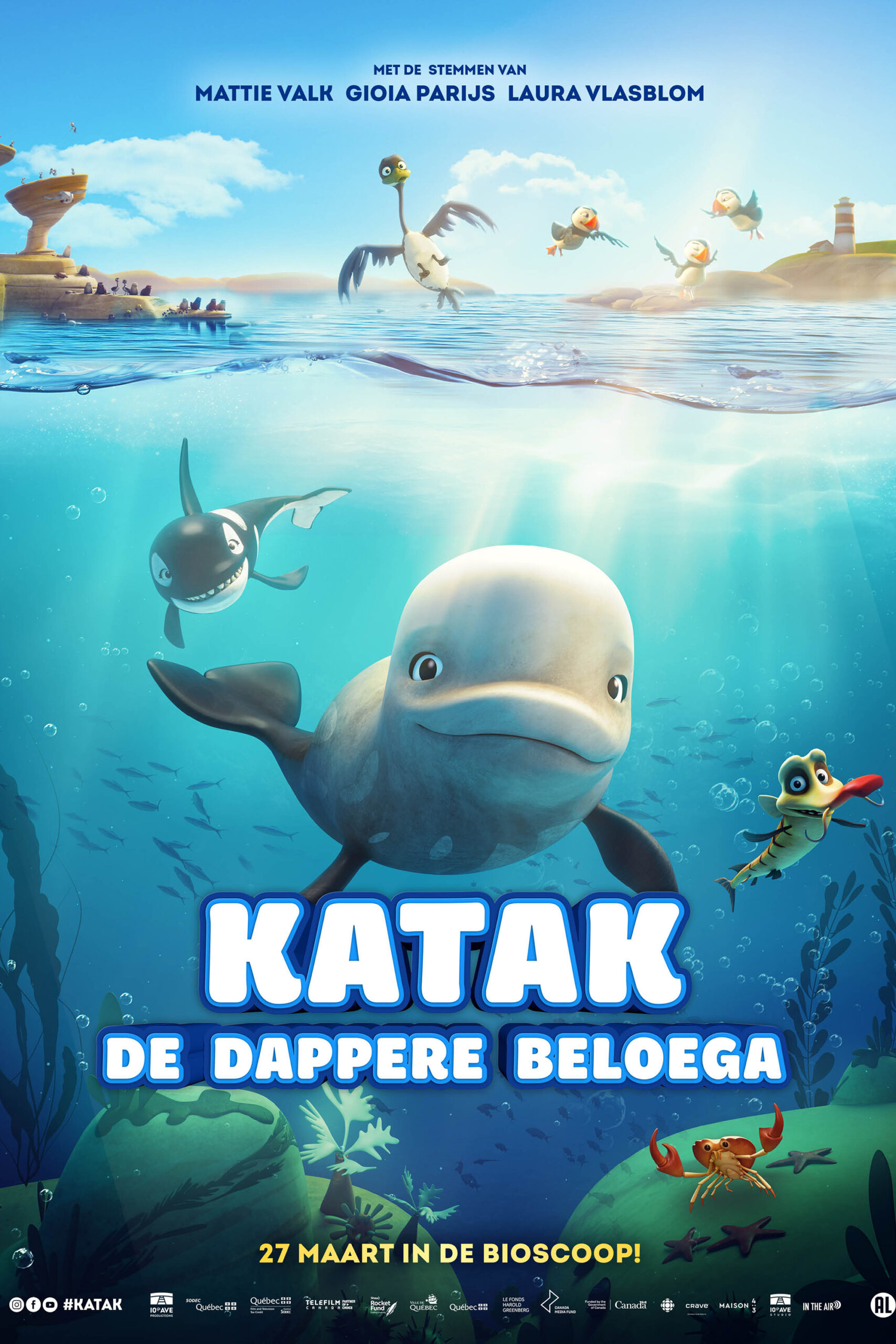 Katak – the brave beluga